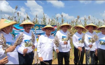 Blora Didorong Jadi Pusat Pengembangan Sorgum Nasional