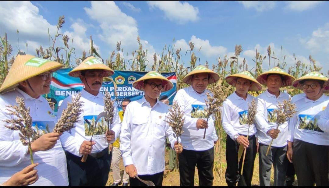 Blora Didorong Jadi Pusat Pengembangan Sorgum Nasional